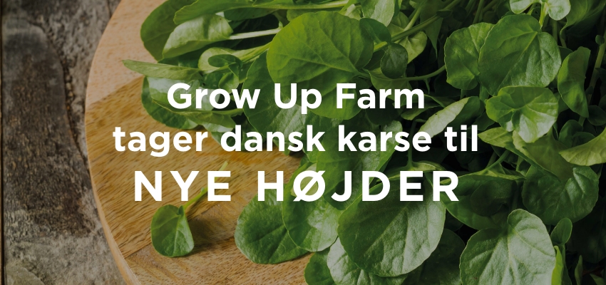 Grow Up Farm tager dansk karse til nye højder