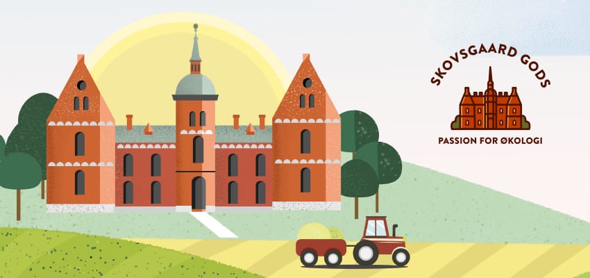 Tilbage til rødderne